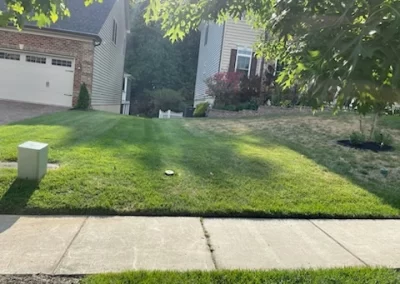 Best Landscaping Services