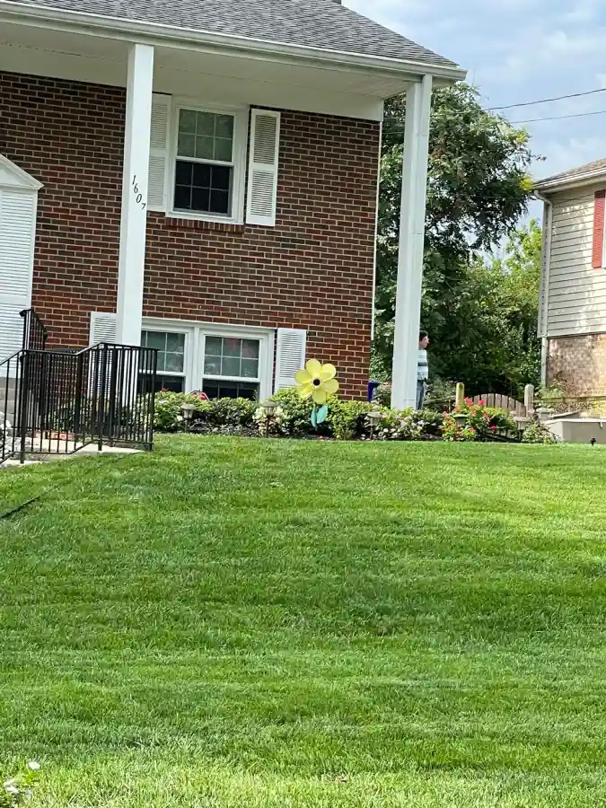 Landscaping Contractor in Silver Spring, MD