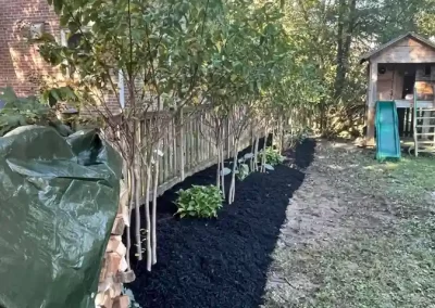 Mulching Services