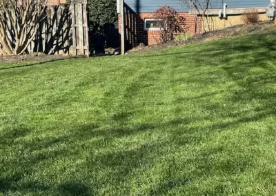 Remarkable Landscaping Services