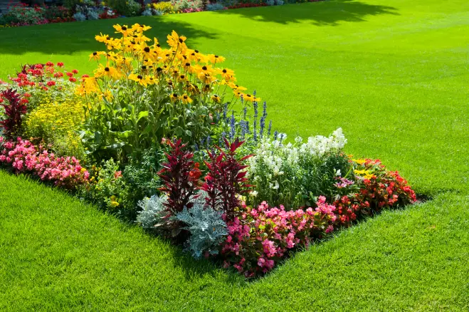 Affordable Landscape Design Services Silver Spring MD