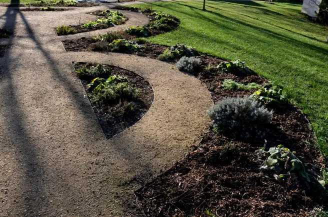 Benefits Of Hiring Professionals For Landscape Design Services Silver Spring MD