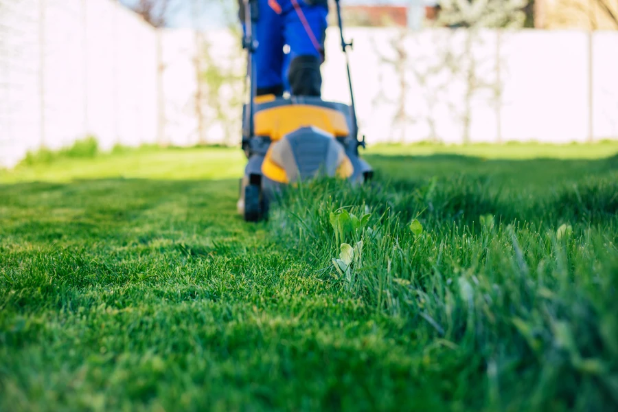 Expert Lawn Mowing Silver Spring MD
