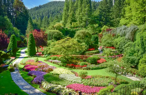 How Landscape Design Services Enhance Your Property Value in Silver Spring MD