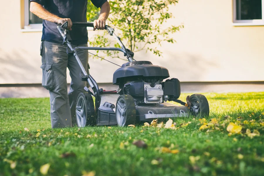 How Regular Lawn Mowing Promotes Healthy Grass Growth Silver Spring MD