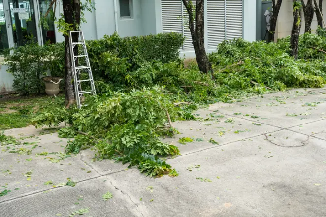 How Tree Removal Enhances Safety In Residential Properties in Silver Spring MD