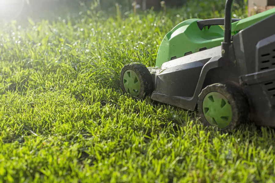 Local Lawn Mowing Silver Spring MD