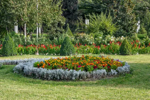 Premium Landscape Design Services Silver Spring MD