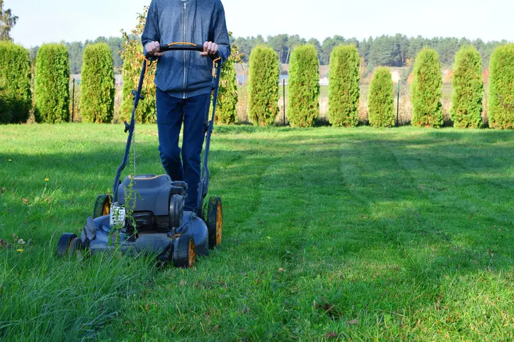 The Importance Of Proper Lawn Mowing Techniques For Lawn Health Silver Spring MD