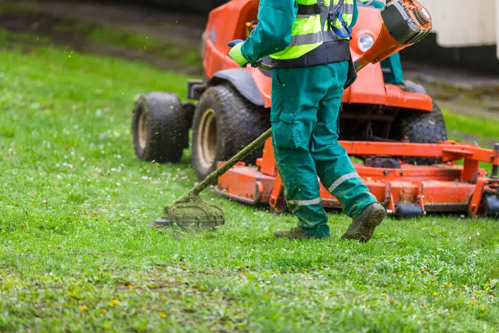 The Importance Of Proper Lawn Mowing Techniques For Lawn Health in Silver Spring MD